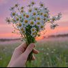 derya.pasl