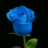 suheil.muhammad.r