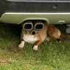 fox_underscore