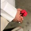 noura_mohamed223