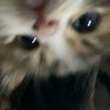 piimoyyy24