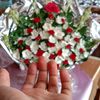 rocky.sheikh.860