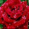 m.yasir.khan11