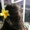 carolina_vilela021