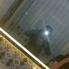 malak._.tawfeek