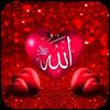 hamaadali509