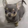 txr0rr