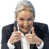 LinkeDemokratiefeinde
