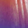 star_.kkc