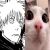 getobunny