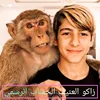 زاكو العنيف