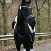 lizabella.bourass8