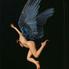 celeste.knr