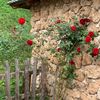 user1588065551955