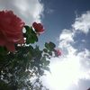 user46161471402