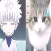 killu_331