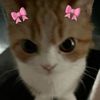 Seri