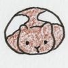 aliciathehamster