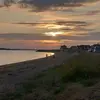 sheep_toes1234