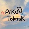 pikudtoktok_
