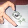apkom1