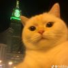 alya_1417