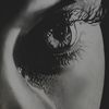 bruno_shukran