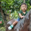 taufiq.muhammad03