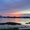 bongsky987