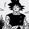 qaaa.goku