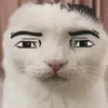 jojo_lafrippouille