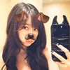 nitbo_kpop