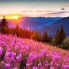 naturepe2