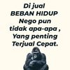 nenk_thea7