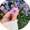 negar_