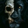 askgod91