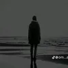 2_amer313