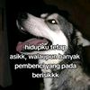 nnau.r4a121