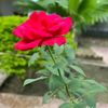 md.abdul.miya8