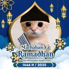 cikmok858