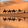 mohammed.youbi30