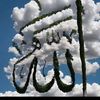 user9028071290542