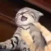 wooinsix__