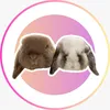 Soia & Churro 🐰