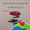 دنیا داری