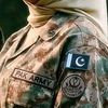 zainab.chauhdary