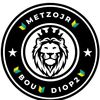 metzojr38