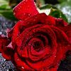 user7114208022860