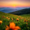 yousaf___786_