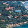 sultan_6511